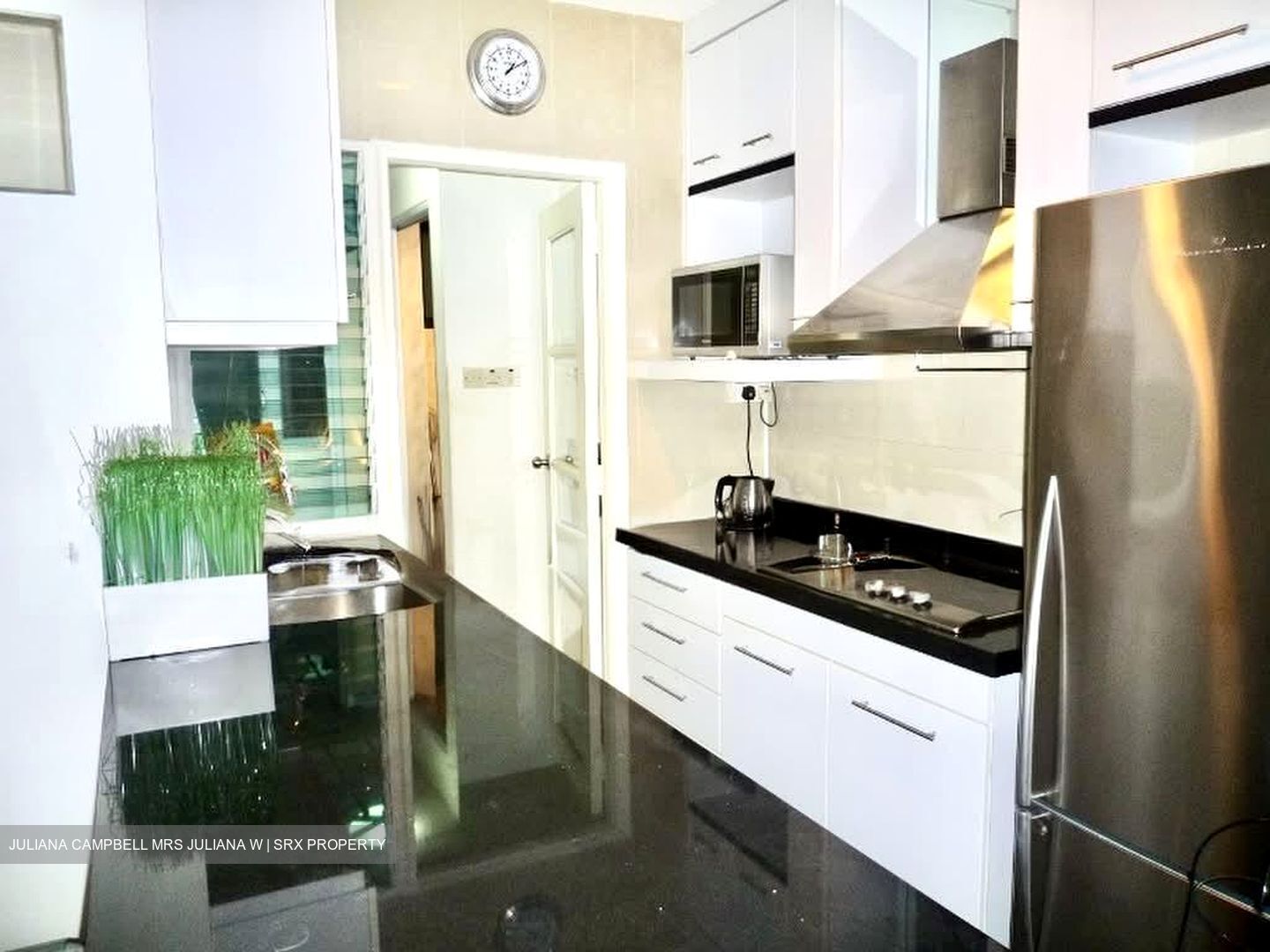 Nineteen Shelford Road (D11), Condominium #574146191
